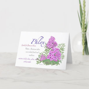 Phlox Blank Card