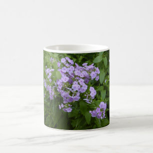 Phlox blossoms mug