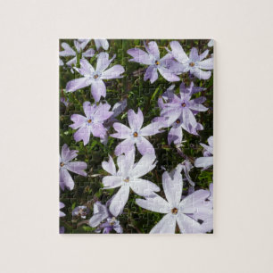 Phlox flower jigsaw puzzle