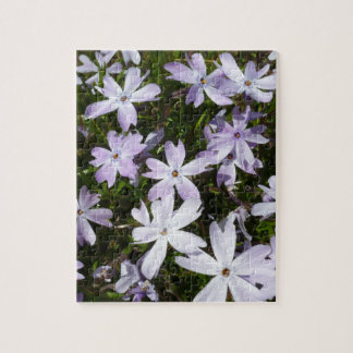Phlox flower jigsaw puzzle