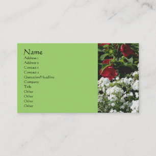 Phlox Hibiscus Flower Garden Nature Business Card