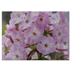 Phlox, Pink Flower Photography Cutting Board
