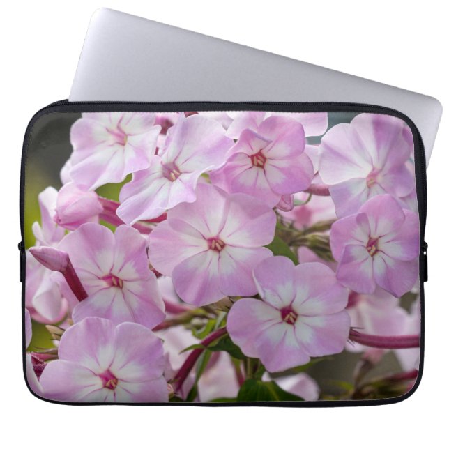 Phlox, Pink Flower Photography Laptop Sleeve (Front)