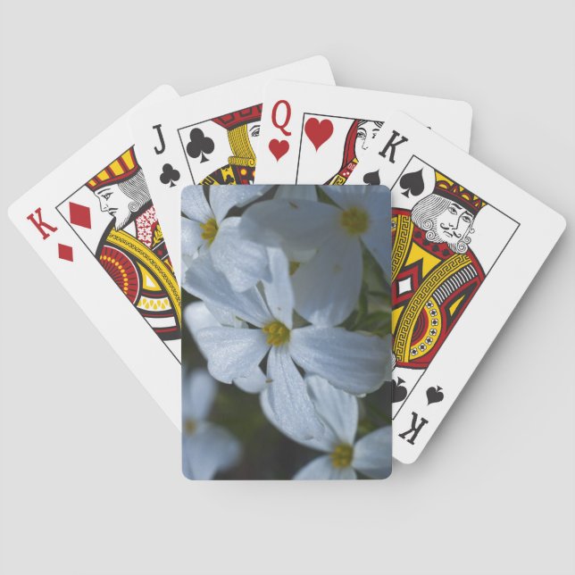 Phlox Playing Cards (Back)