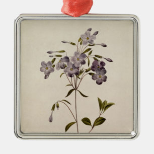 Phlox reptans metal ornament
