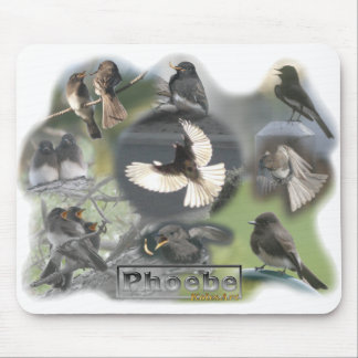 Phoebe Birds Photo Collage Mouse Pad