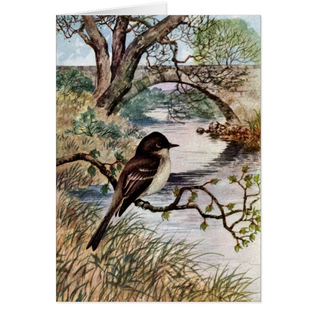 Phoebe et pont en pierre au-dessus de crique (Devant)