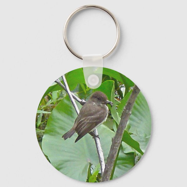 Phoebe Flycatcher Keychain (Front)