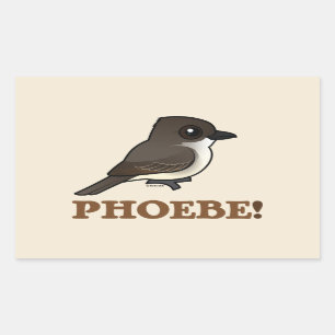 PHOEBE! STICKER