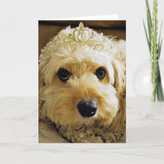 PhoebethePrincess, Carte de voeux Cavapoo