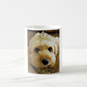 PhoebethePrincess, Cavapoo sur la tasse blanche