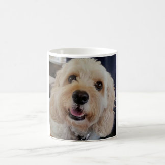 PhoebethePrincess Cavapoo sur une tasse blanche