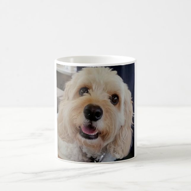 PhoebethePrincess Cavapoo sur une tasse blanche (Centre)