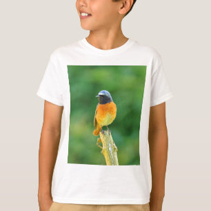 phoenicurus ochruros T-Shirt