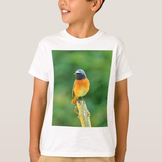 phoenicurus ochruros T-Shirt (Front)