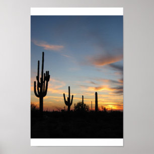 Phoenix Arizona cactus sunset Poster