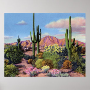 Phoenix Arizona Camelback Mountain Poster