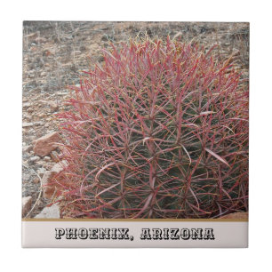 Phoenix Arizona Unique Red Barrel Cactus Photo Tile