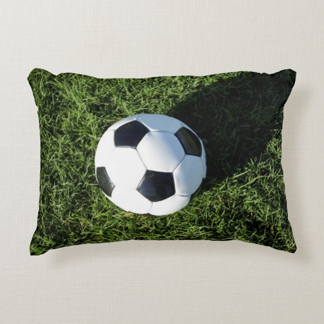 Phoenix, Arizona, USA. Accent Pillow (Front)