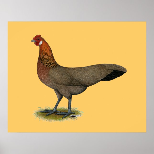 Phoenix:  BB Red Hen Poster (Front)
