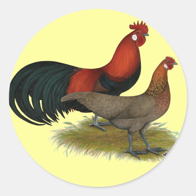 Phoenix:  BB Red Pair Classic Round Sticker (Front)
