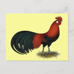 Phoenix: BB Red Rooster Postcard