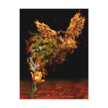 Phoenix Flower