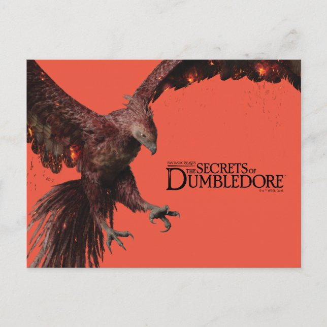 Phoenix Flying Graphic Postcard (Front)