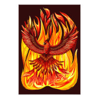 Phoenix mythological immortal Creature