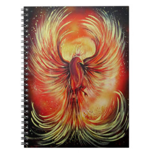 Phoenix Notebook