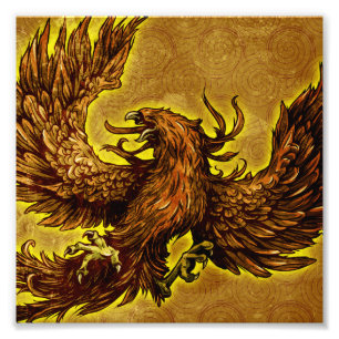 Phoenix Photo Print