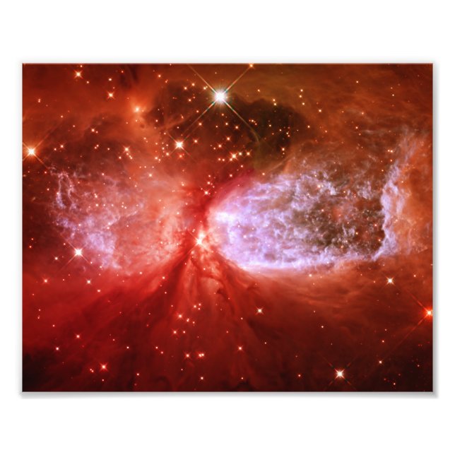 Phoenix Photo Print (Front)