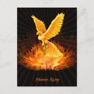 Phoenix Rising Postcard