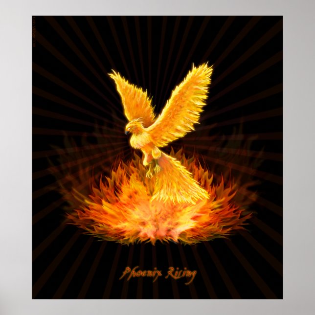 Phoenix Rising Poster (Front)