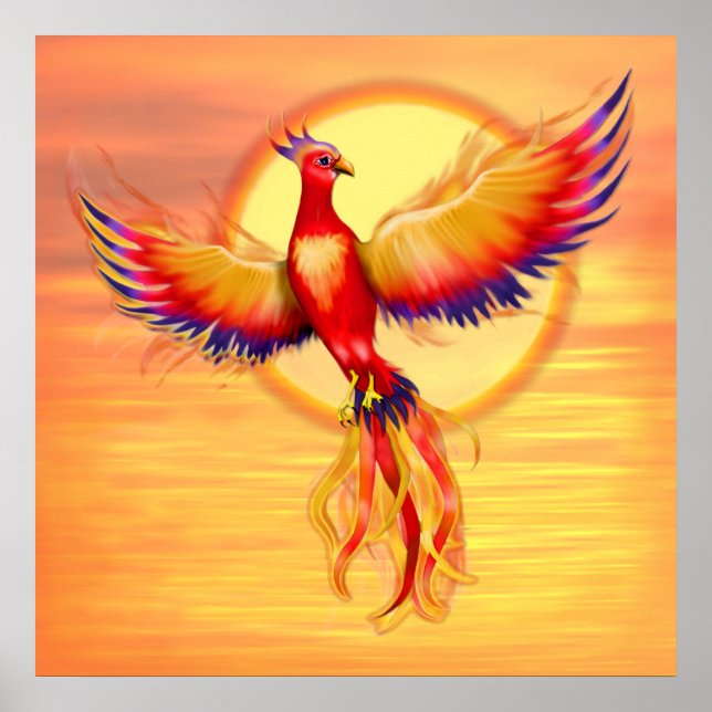 Phoenix Rising - Square Poster (Front)