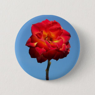 Phoenix Rose in the Sky-button 2 Inch Round Button