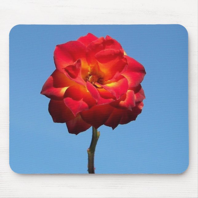 Phoenix Rose in the Sky-mousepad Mouse Pad (Front)