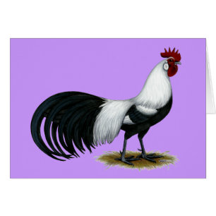 Phoenix:  Silver Duckwing Rooster