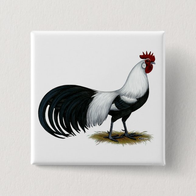 Phoenix:  Silver Duckwing Rooster 2 Inch Square Button (Front)