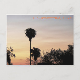 Phoenix Sunset Postcard