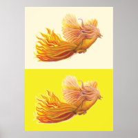 Phoenix - The Bird that is Reborn