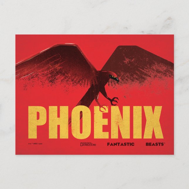 Phoenix Vingate Graphic Postcard (Front)