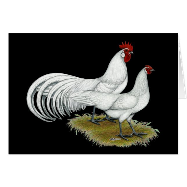 Phoenix:  White Pair (Front Horizontal)