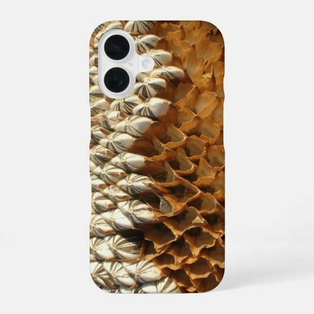 Phone Case - Dried Sunflower Head (Back)
