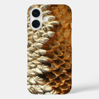Phone Case - Dried Sunflower Head