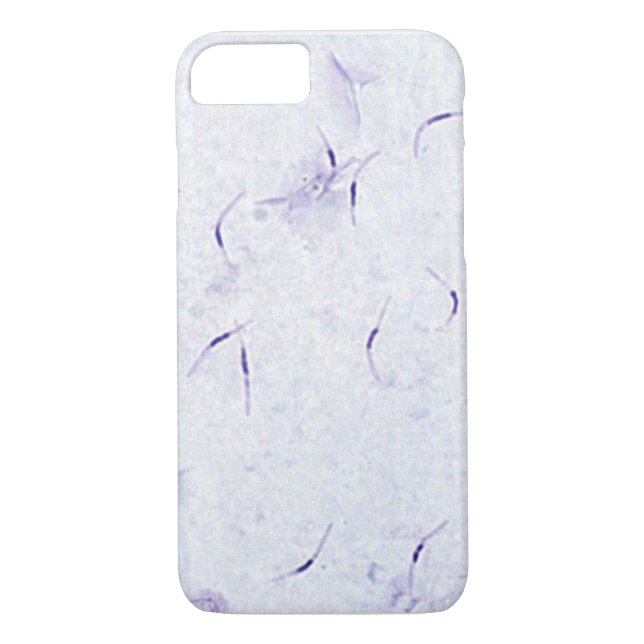 Phone Case (many) - Plasmodium vivax (Malaria bug) (Back)