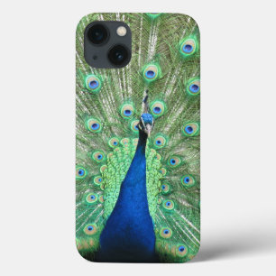 Phone Case - Proud Peacock