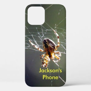 Phone Case - Spider on Web