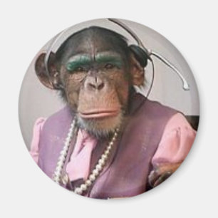 phone monkey magnet