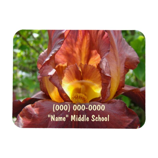 Phone Number magnets Middle School magnet (Horizontal)